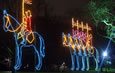 Winter Festival of Lights