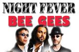 Night Fever: Bee Gees/ABBA Tribute