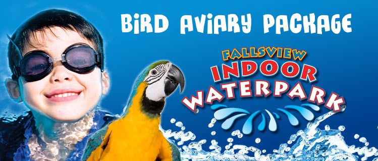 Fallsview Indoor Waterpark & Aviary Package
