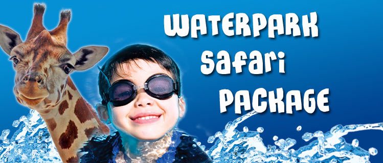 Safari Niagara & Waterpark Package
