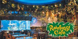 Rainforest Cafe