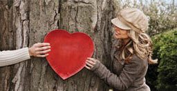 Romantic Getaway Package