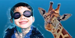 Waterpark & Safari Niagara Package