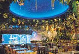 Rainforest Cafe