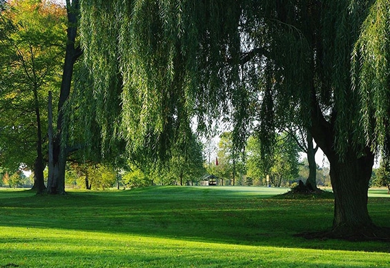 Long Beach Country Club