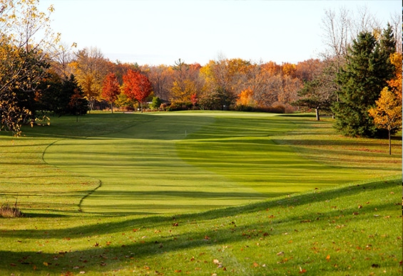 Sawmill Golf Course