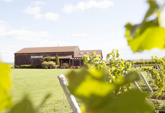 Thirty Bench Wine Makers Niagara Wineries