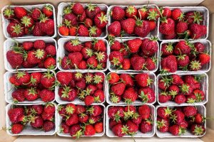 Niagara markets offer fresh fruits and vegetables this spring.