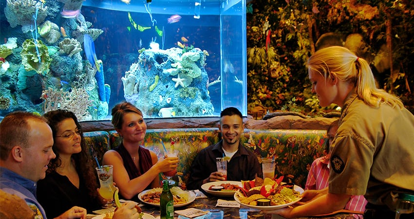 Rainforest Cafe Niagara Falls