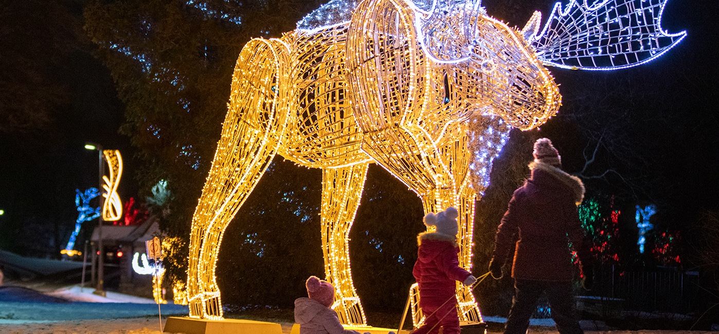 Winter Festival of Lights
