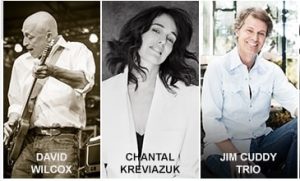 Chantal Kreviazuk, Jim Cuddy, David Wilcox