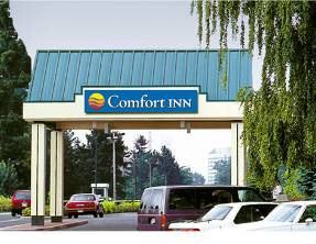 Comfort Inn Clifton Hill Niagara Falls Hotels