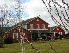 Ontario Organic Winery - Frogpond