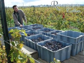 Riverview Cellars Winery Niagara Falls