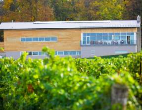 Niagara Winery - Fielding Estates