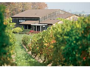 Niagara Winery - Thirty Bench