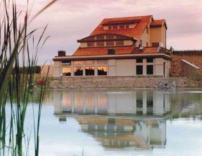 Tawse Winery Niagara