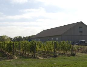 Thirteenth St. Winery Niagara